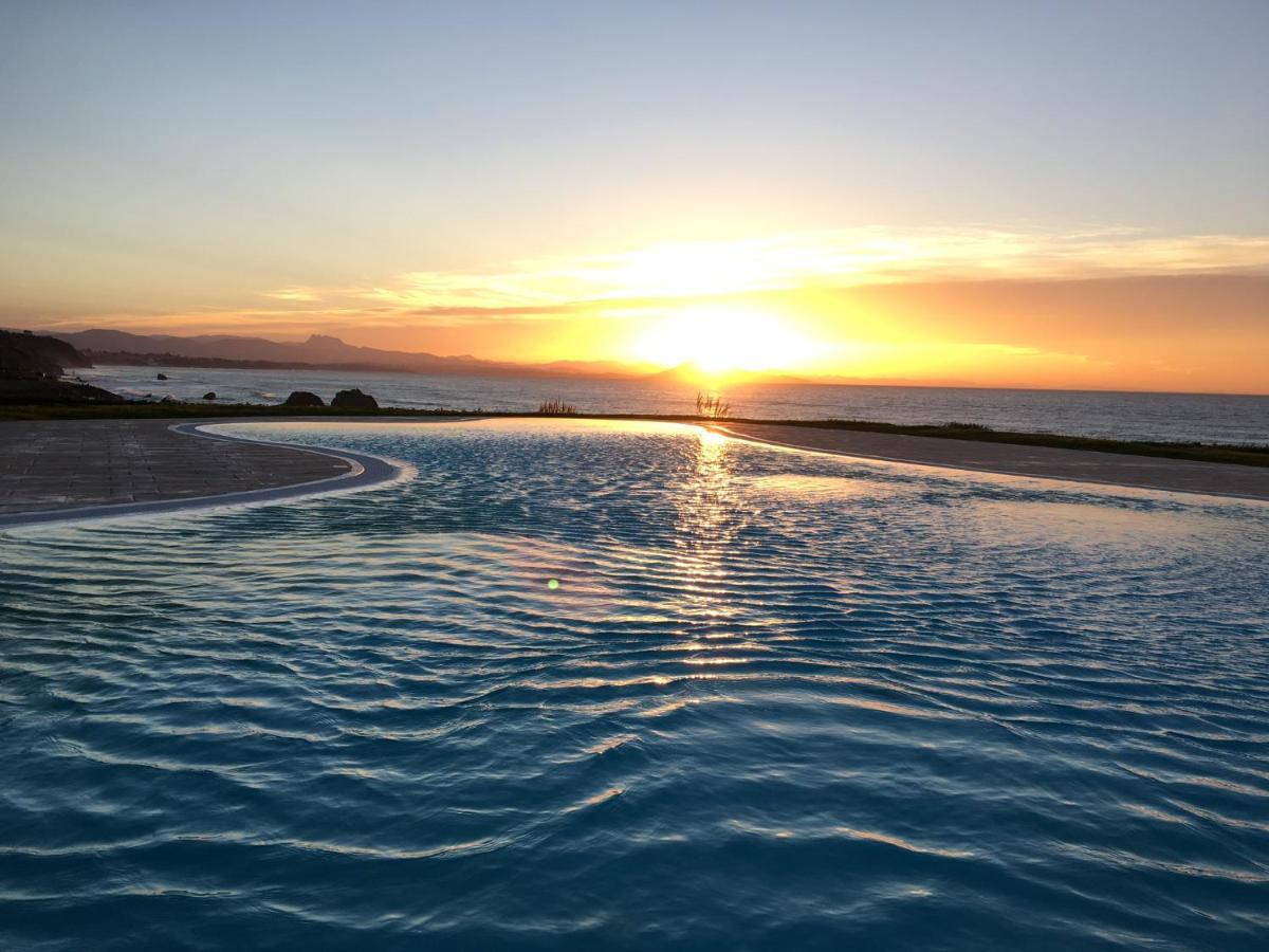 Petit Studio Terrasse Rez De Jardin Piscine Sur L'Ocean Daire Biarritz Dış mekan fotoğraf
