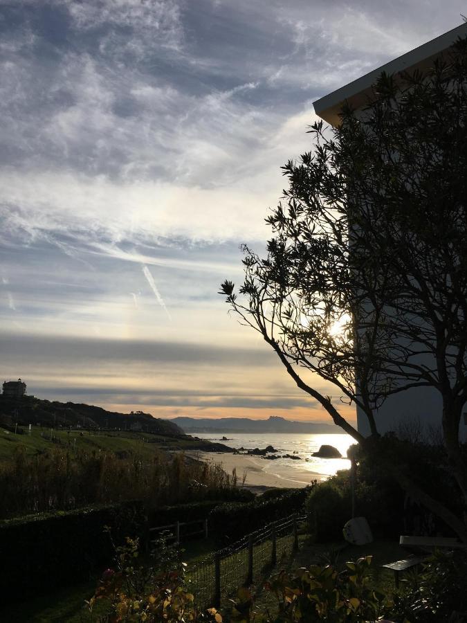 Petit Studio Terrasse Rez De Jardin Piscine Sur L'Ocean Daire Biarritz Dış mekan fotoğraf